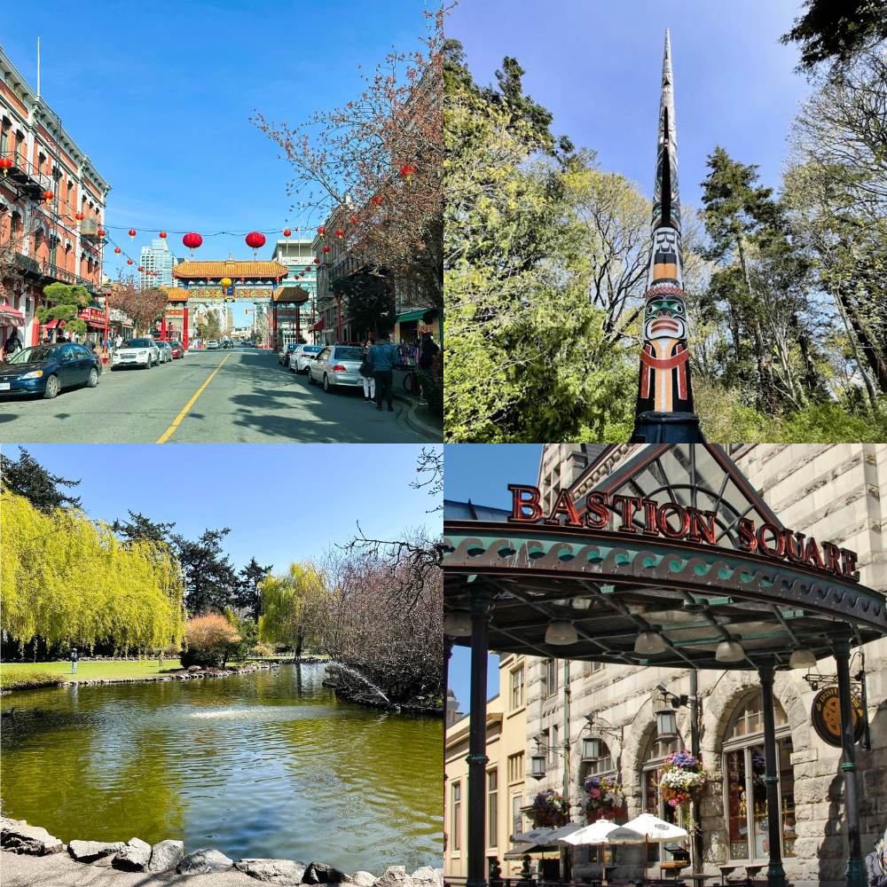 3 hour tour Victoria City Highlights: Beacon Hill Park, Chinatown, Craigdarroch Castle (1-5pax) | From Cruise Terminal